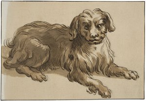 Långhårig hund