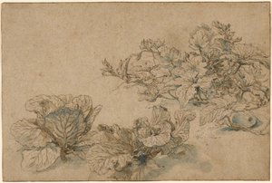 Studier av en märgväxt och kål av Abraham Bloemaert