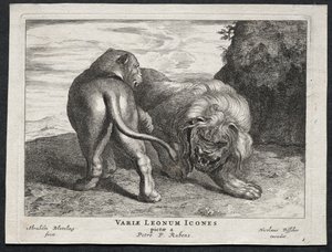 Olika Lions