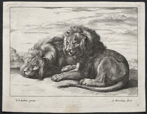 Olika Lions av Abraham Blooteling