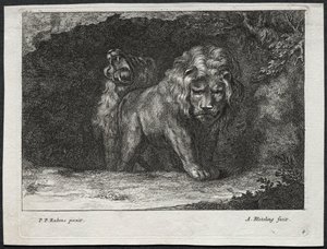 Olika Lions av Abraham Blooteling