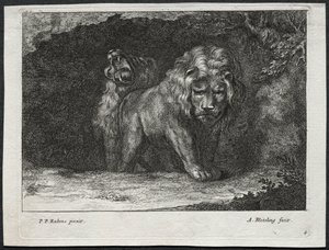 Olika Lions. av Abraham Blooteling