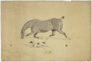 Springande häst och hund av Abraham Cooper