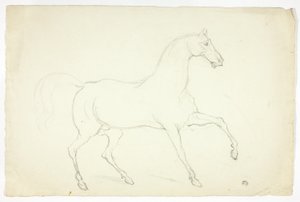 Hingst av Abraham Cooper