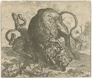 Leopard och Bull Olika djur (serietitel)