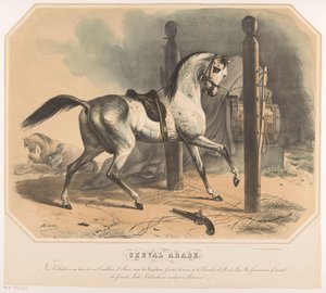 Arabhäst av Godert van der Capellen Cheval Arabe (titel på objekt)