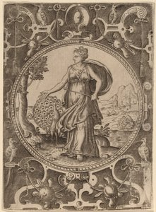 Juno av Abraham de Bruyn