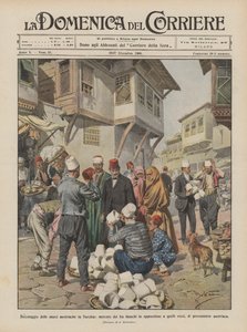 Bojkott av österrikiska varor i Turkiet, marknad för vita fezes i motsats till dessa?