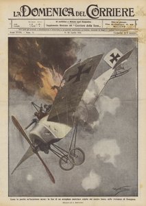 Hur bestraffades ett flyganfall, döden av ett österrikiskt flygplan som träffades av vår eld?