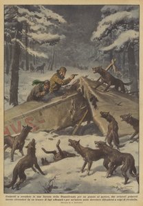 Tvingad att åka ner till en transsylvanisk skog på grund av ett motorfel?