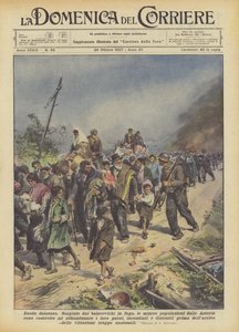 Smärtsam exodus