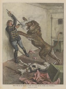 Hård kamp mellan en tamare, ett lejon och en hund i Ciniselli-cirkusen, nu i Petersburg