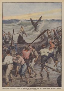 Hård storm i Messinasundet som strandade en enorm haj och sedan dödades med en åra?
