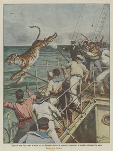 En kunglig tigers flykt ombord på ett ångfartyg på väg till Amerika, förföljd, begår självmord genom att hoppa i havet