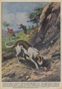 Hunden som räddar ägaren