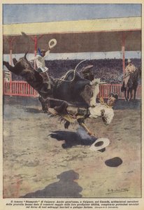 Den berömda Calgary Stampede