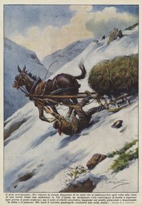 Den neurasteniska mulen av Achille Beltrame