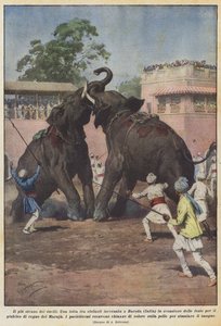Den märkligaste av dueller av Achille Beltrame