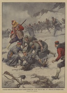 Faller prins Danilo av Montenegro i munnen på en varg under anfallet av Brdica?