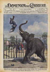 Pachydermens andra brott