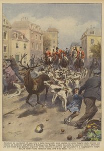 Förföljd av jägare och amazoner och av den obönhörliga hundmyllan, rymde ett rådjur från?