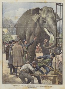 Avgången från London för Jingos USA, avskedsdemonstrationer