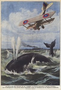 Jakten från himlen av Achille Beltrame