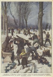 Misär och oordning i Wien