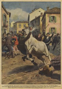 En oxes raseri