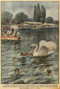 En svans raseri av Achille Beltrame