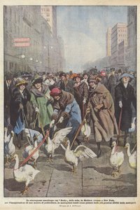 Amerikanska utsvävningar, ett Gäss Derby, på Madison Avenue i New York, för invigningen? av Achille Beltrame
