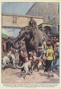 Elefanten på Alperna