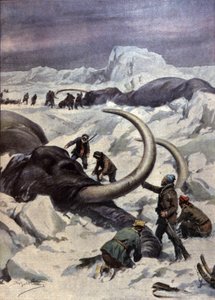 Mammutar i Nordpolen av Achille Beltrame
