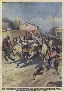 Medan de lossades från järnvägsvagnarna, i Neapel, lyckades 24 oxar fly? av Achille Beltrame