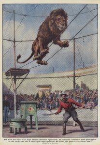 Jag har aldrig sett djurens kung bli en ekvilibrist