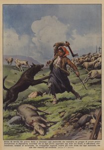 Sagoscen som kunde sluta i dramatik, en herdinna som vaktar en fårflock?