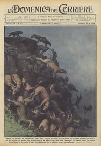 Får slakt av Achille Beltrame