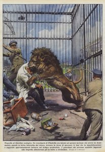 Tragedi i Zoologiska trädgården