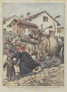 Ödmjuka hjältar, en lärare som ska rädda en liten flicka dödas av två arga oxar, nära Brescia