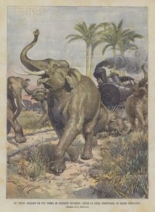En trenc överfallen av en skara vilda elefanter längs Assams järnvägslinje (Indo-Kina)