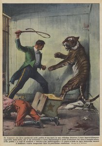 En tämjare som ställer upp i en tigerbur i en fransk stad?
