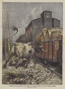 En tjur som kastar sig mot ett godståg och får det att avvika, vid stationen Belmonte Calabro