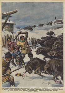 En by belägrad av oxar