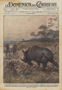 Ett stort viltjaktsäventyr i Afrika