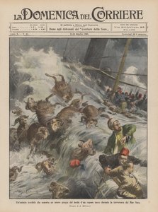 En fruktansvärd våg som sveper in en hel flock från kanten av en turkisk ångbåt under korsningen av Svarta havet