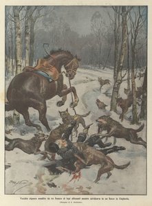 Gammal herre attackerad av en flock hungriga vargar när han red i en skog i Ungern