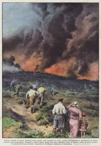 Våldsamma skogsbränder, med ursprung i torka, har brutit ut på olika platser? av Achille Beltrame