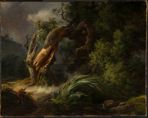 Eken och vassen