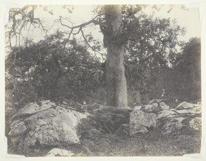 Skog och klippor, Fontainebleau av Achille Quinet