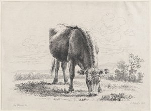 Kobete, 1805., 1805. av Adam von Bartsch